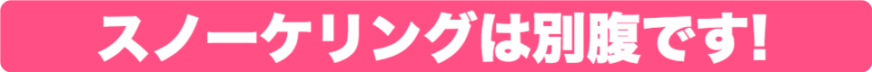とにかく楽しい! グアムのパラセーリング