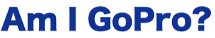 パラセーリングって、もう撮る前から俺自身がGoProって感じ